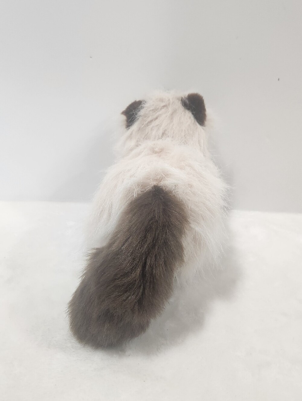Ganz Webkinz Himalayan Persian Siamese Cat Stuffie Plush Toy With Code HM165 - Picture 3 of 12